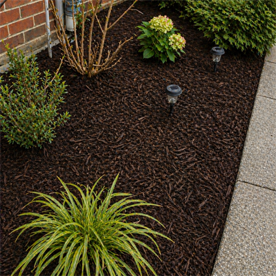 Lawn after service — freshly mowed and edged